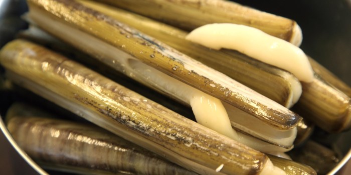 How to cook razor clams chinese style